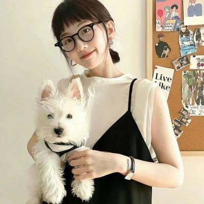 吸血鬼马上死第二季