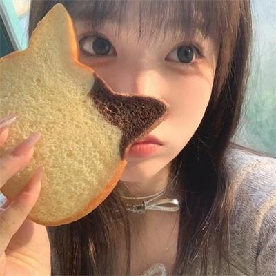 山鹰之歌